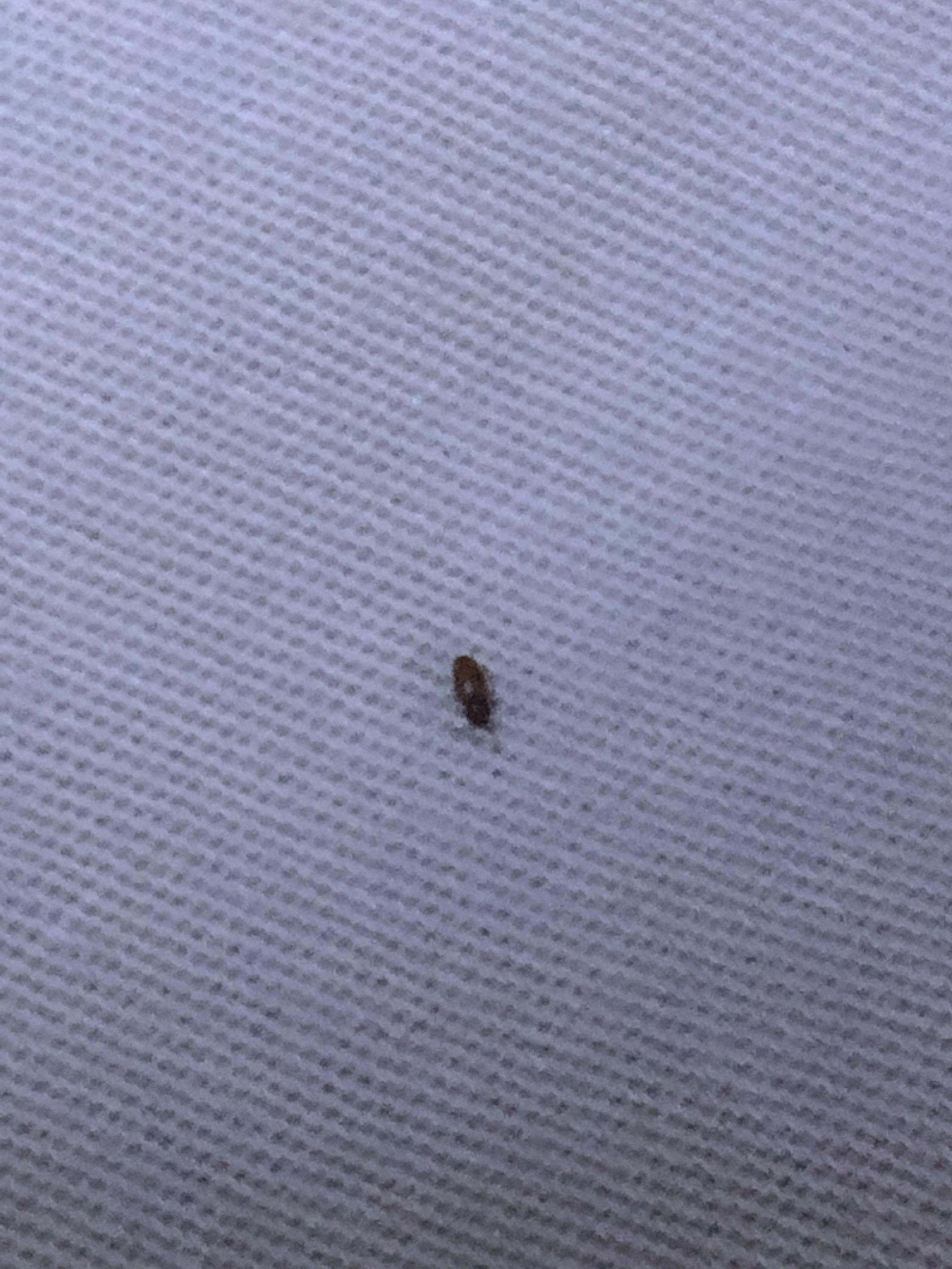 娱乐生活 第5页
