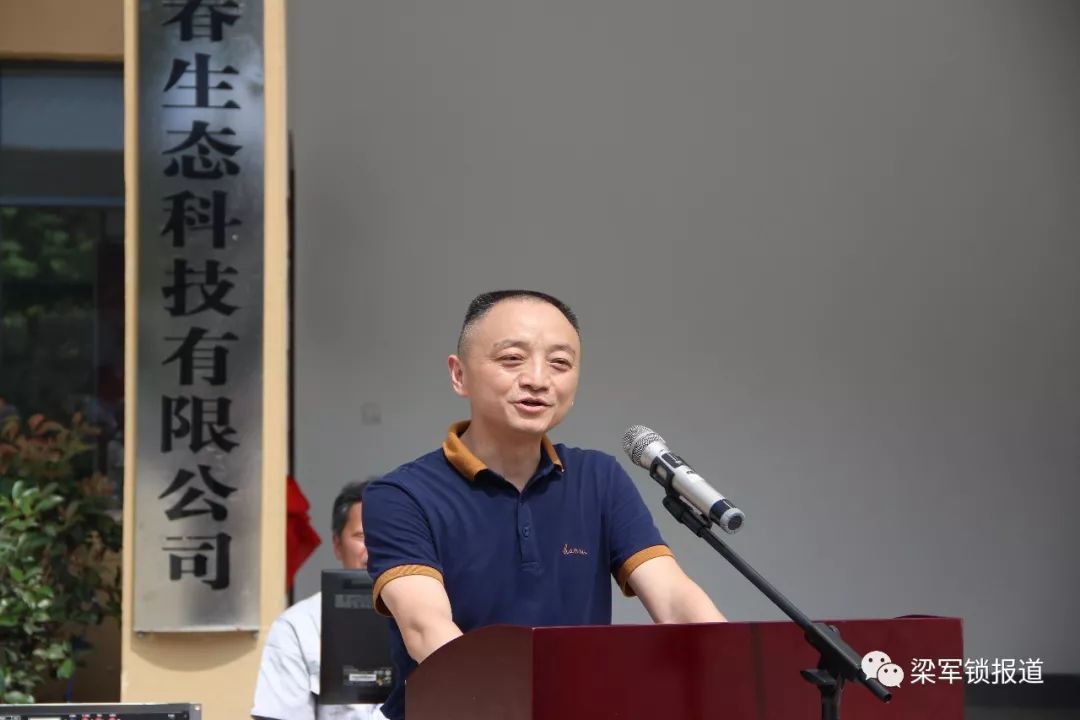 游戏专题 第4页