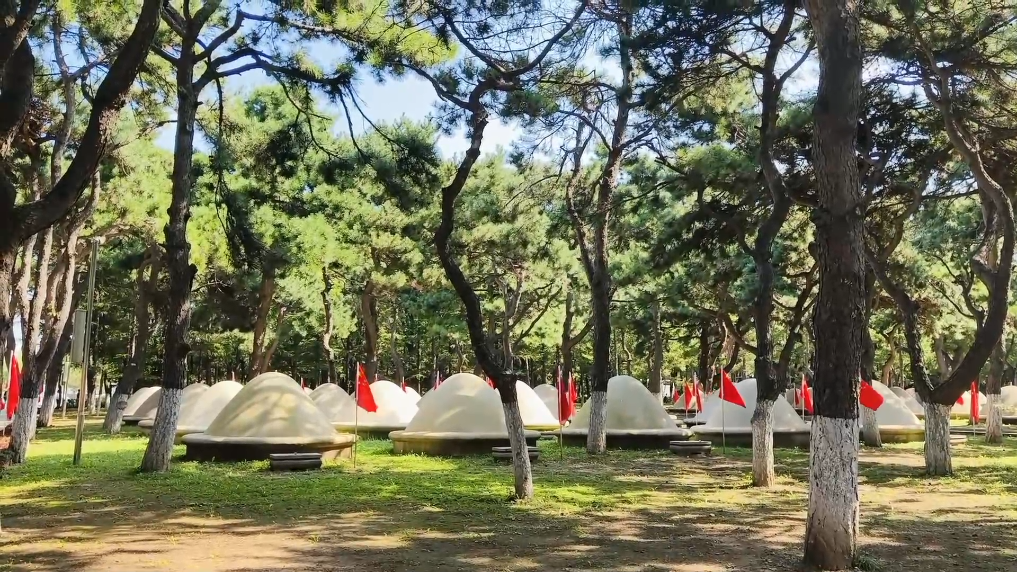 摘下奖章迎接烈士回家摘下奖章，迎接烈士回家